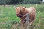 scotland-2001-0905-075