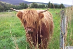 scotland-2001-0905-076