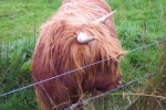 scotland-2001-0905-077