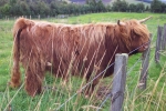 scotland-2001-0905-081
