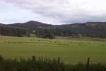 scotland-2001-0905-103