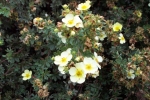 scotland-2001-0906-030