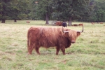 scotland-2001-0906-049