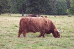 scotland-2001-0906-050