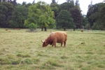 scotland-2001-0906-051