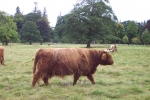 scotland-2001-0906-052