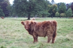 scotland-2001-0906-056