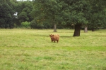 scotland-2001-0906-057