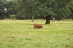 scotland-2001-0906-058