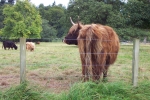 scotland-2001-0906-059