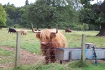 scotland-2001-0906-061
