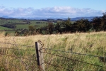 scotland-2001-0908-004