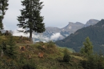 Switzerland-Italy-Trip-October-2012 - 0615