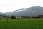 Switzerland-Italy-Trip-October-2012 - 1084