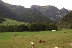 Switzerland-Italy-Trip-October-2012 - 1150