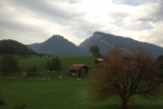 Switzerland-Italy-Trip-October-2012 - 1237