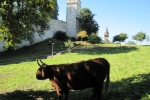Switzerland-Italy-Trip-October-2012 - 1339