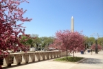 Washington-Trip-March-2012 - 125